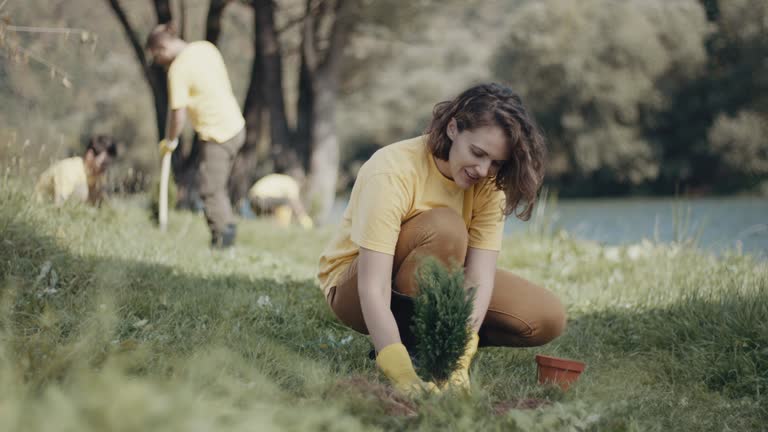 Best Lawn Disease Treatment  in Norwich, NY